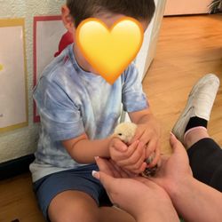 Little Investigators Preschool