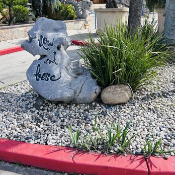 Kim Quang Temple - Live here and now! That's how we find peace. - Buddhist Temples Near Me - Sacramento, California Kim Quang Temple - Live here and now! That's how we find peace. - Buddhist Temples Near Me - Sacramento, California