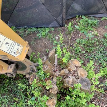 Anthony Hughes Tree & Stump Grinding - Bush stump - Tree Services Near Me - Knoxville, Tennessee Anthony Hughes Tree & Stump Grinding - Bush stump - Tree Services Near Me - Knoxville, Tennessee