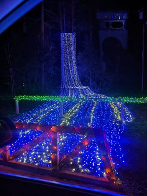 The Lights of Christmas by null