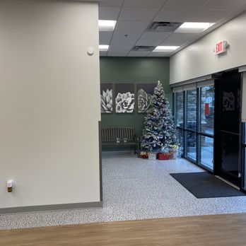 North Brookhaven Veterinary Hospital - Waiting area and great holiday decor - Veterinarians Near Me - Brookhaven, Georgia North Brookhaven Veterinary Hospital - Waiting area and great holiday decor - Veterinarians Near Me - Brookhaven, Georgia