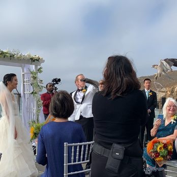 Raptor Events - Party & Event Planning Near Me
