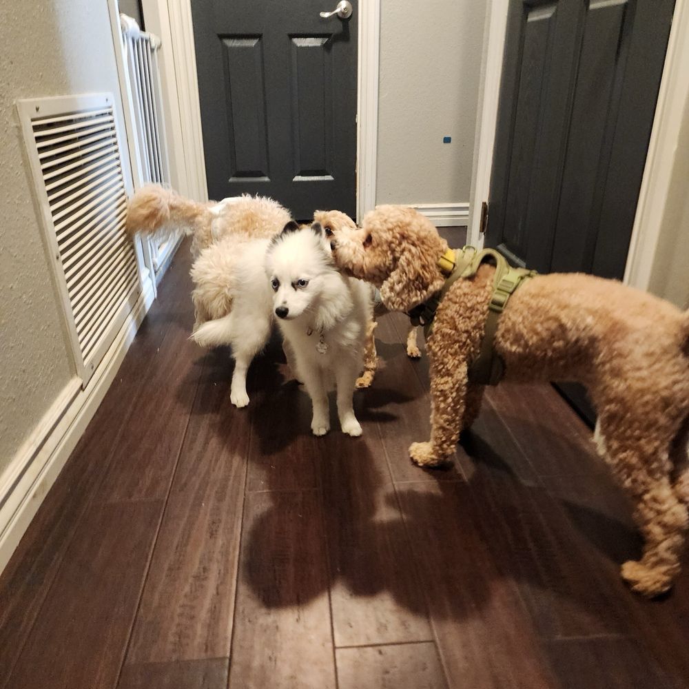 Meeting the gang!