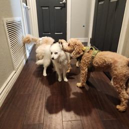 Meeting the gang! Meeting the gang!