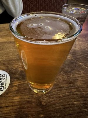 The Irish Rover Pub by null