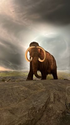 Royal BC Museum by null