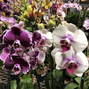 Home Depot - Love! - Hardware Stores Near Me - Honolulu, Hawaii Home Depot - Love! - Hardware Stores Near Me - Honolulu, Hawaii