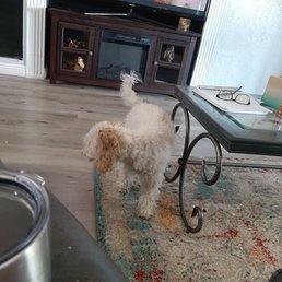 This is jax This is jax