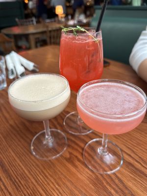 Shy Bird - Fenway by null