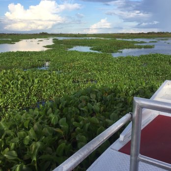 Airboat Adventures - Boat Tours Near Me - Lafitte, Louisiana