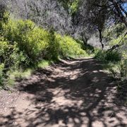 Photo of Escondido Canyon Park - Malibu, CA, United States