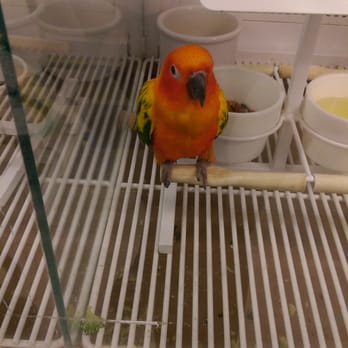Petco - So freaking cute! - Pet Stores Near Me - Westminster, California Petco - So freaking cute! - Pet Stores Near Me - Westminster, California