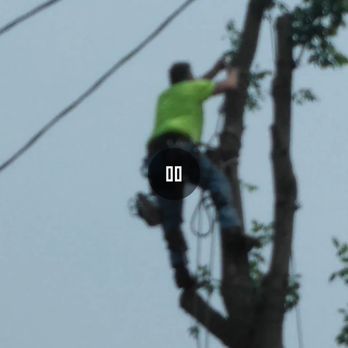 Got Stumps - Tree Services Near Me - Union, Missouri Got Stumps - Tree Services Near Me - Union, Missouri