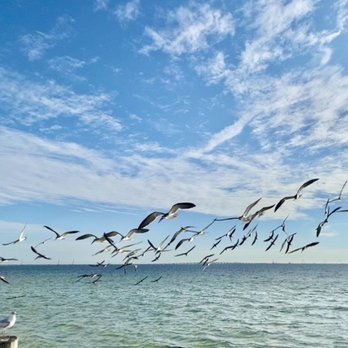 BEN T DAVIS BEACH - Updated January 2026 - 139 Photos & 79 Reviews