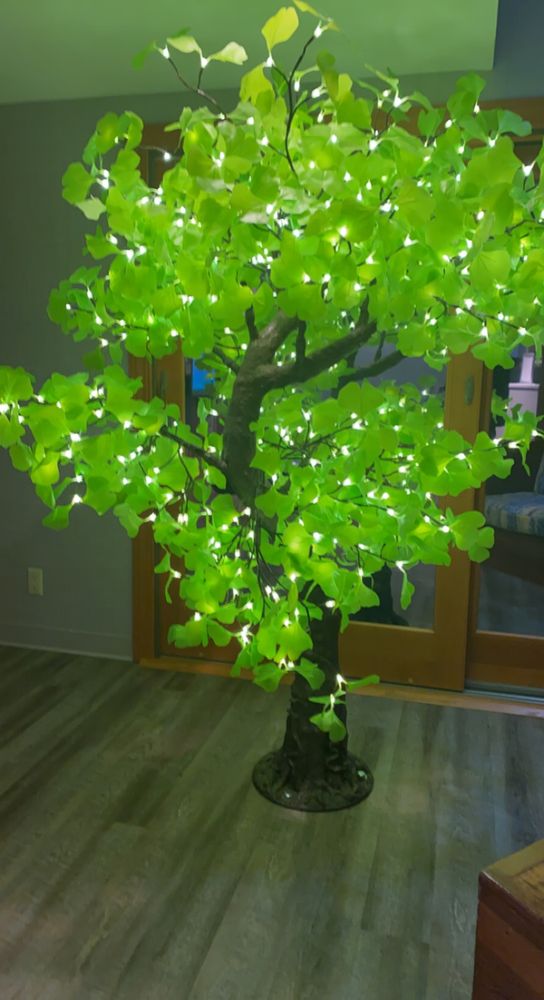 DENTAL ARTS STUDIO OF CAPE COD Updated July 2024 13 Reviews 55