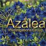 Azalea Investigations Group