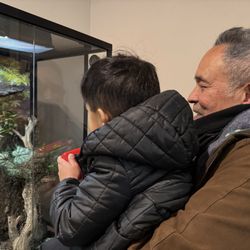 Lindsay Wildlife Experience