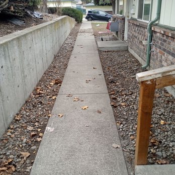 Impeccable Landscapes - Leaves everywhere - Landscaping Near Me - Spokane Valley, Washington