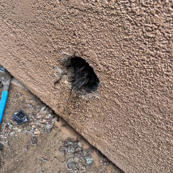 General Drain Experts & Leak Detection INC - Plumbing Near Me General Drain Experts & Leak Detection INC - Plumbing Near Me