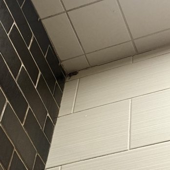 Equinox Bethesda - Roach in Shower - Sports Clubs Near Me - Bethesda, Maryland