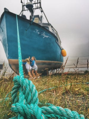 Fundy National Park Of Canada by null
