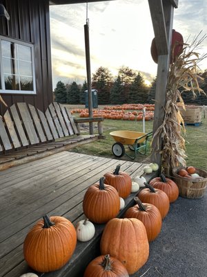 ERIE ORCHARDS & CIDER MILL - Updated May 2024 - 36 Photos & 30 Reviews