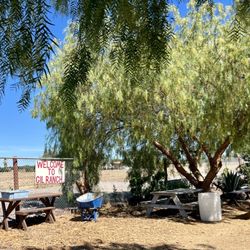 Gil Ranch U-pick