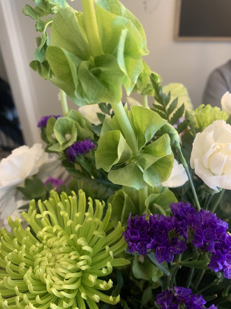 GOULD’S FLOWERS & GIFTS Updated October 2024 66 Photos & 26 Reviews