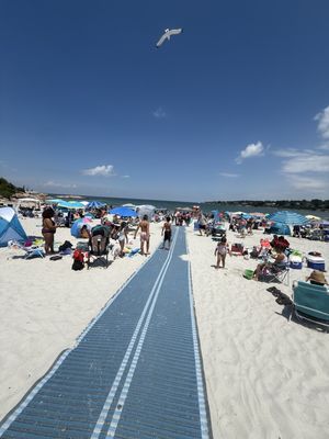 Wingaersheek Beach by null