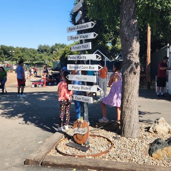 G&M Farms - Attraction Farms Near Me - Livermore, California G&M Farms - Attraction Farms Near Me - Livermore, California