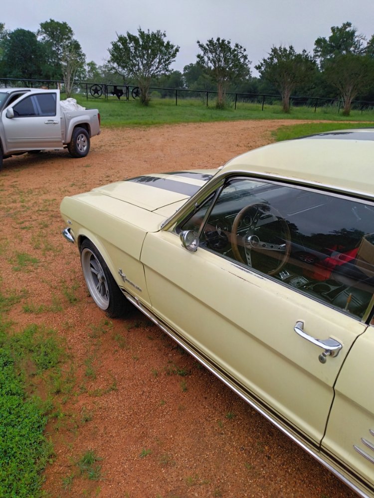 MIRACLE AUTO DETAILING SERVICES 12414 Millridge N Dr, Houston, Texas