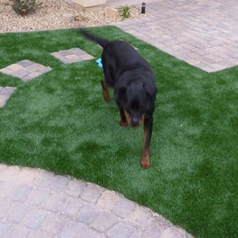 Greenpro Direct - Newport Beach - My doggy loves his new play ground - Artificial Turf Near Me - Newport Beach, California Greenpro Direct - Newport Beach - My doggy loves his new play ground - Artificial Turf Near Me - Newport Beach, California