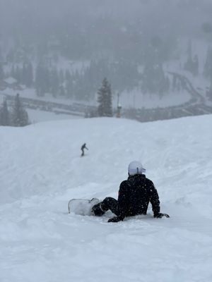 Brighton Resort by null