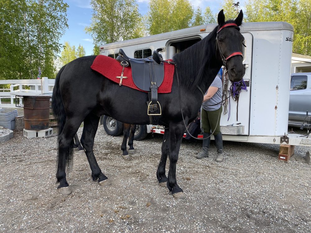 CHEWY’S DOG WASH Updated August 2024 13135 Old Glenn Hwy, Anchorage, Alaska Pet Groomers