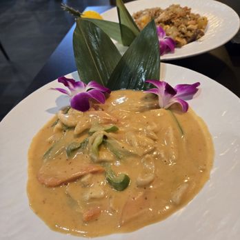 Ocean Sushi - Chicken Panage Curry - Sushi Bars Near Me - Port Orange, Florida