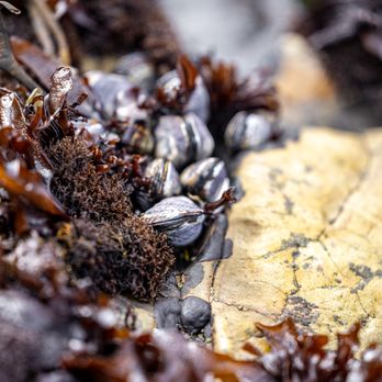 Beaches in the Bay - Yelp