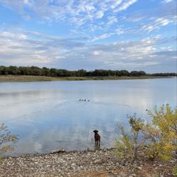 Horseshoe Trail at Lake Grapevine