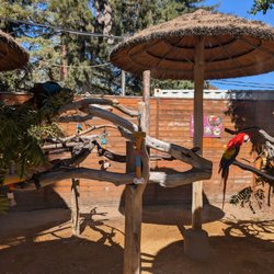 Happy Hollow Park & Zoo - Parrots and other tropical birds - 9/2026