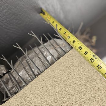 Reliable Handywork - Previous bird deterrent we before we replaced it. - Handyman Near Me Reliable Handywork - Previous bird deterrent we before we replaced it. - Handyman Near Me