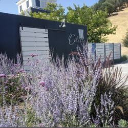 San Francisco Executive Transportation