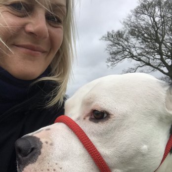 We Love Pets Maidstone - Hera - Dog Walkers Near Me - Maidstone, KEN