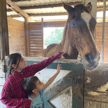 Delmar Farm - Animal Assisted Therapy Near Me