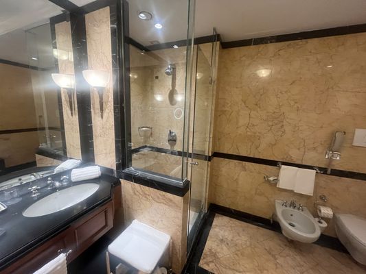 The Westin Excelsior, Rome by null