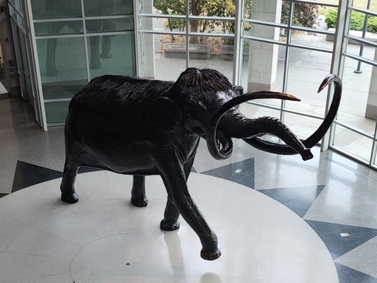 Sam Noble Oklahoma Museum of Natural History by null