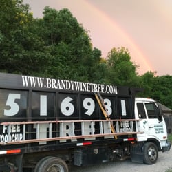 Brandywine Tree Service