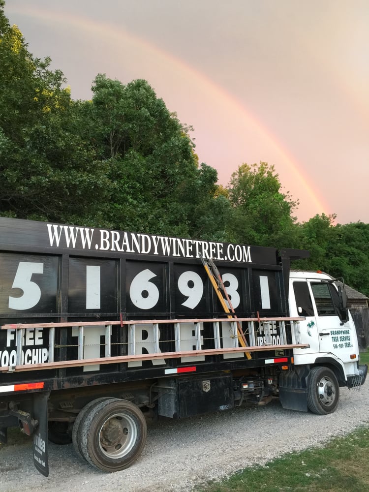 BRANDYWINE TREE SERVICE Updated September 2024 23 Joyce Rd