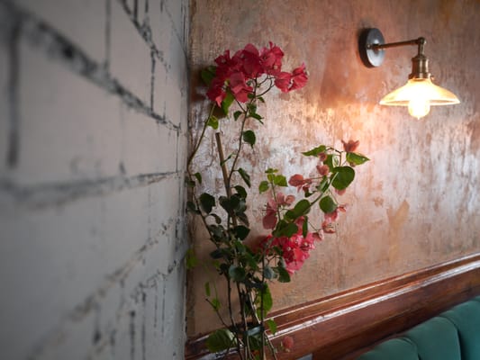 The Rose & Crown by null