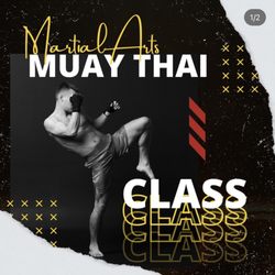 Pyramid mixed martial arts