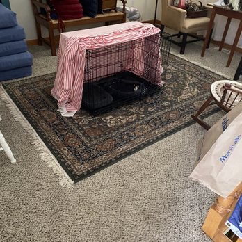 Tim's carpet repair - a cat in a cage - Flooring Near Me Tim's carpet repair - a cat in a cage - Flooring Near Me