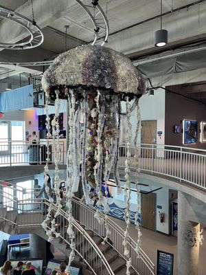 Clearwater Marine Aquarium by null